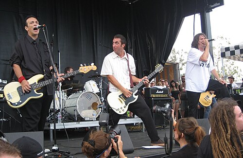 The Adolescents